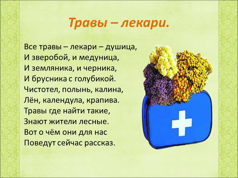 Травы – лекари. Все травы – лекари – душица, И зверобой, и медуница, И